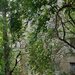 Garsoniera renovata, mobilata si utilata, 32 mp, zona Dr Taberei – Favorit